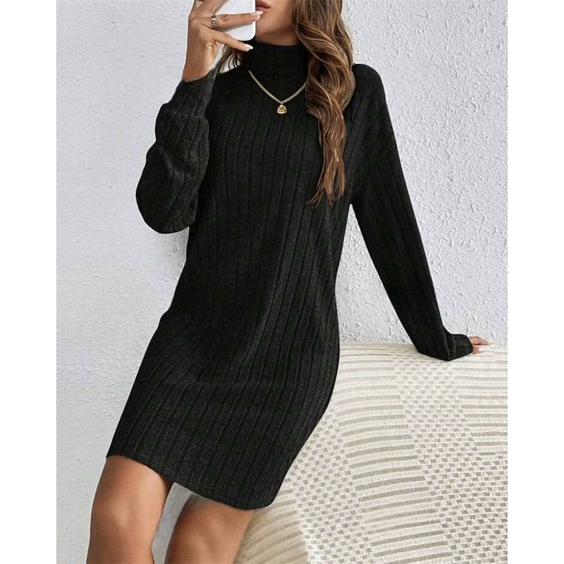 Kessoro women's ribbed roll-neck relaxed knit dress with a soft ribbed texture