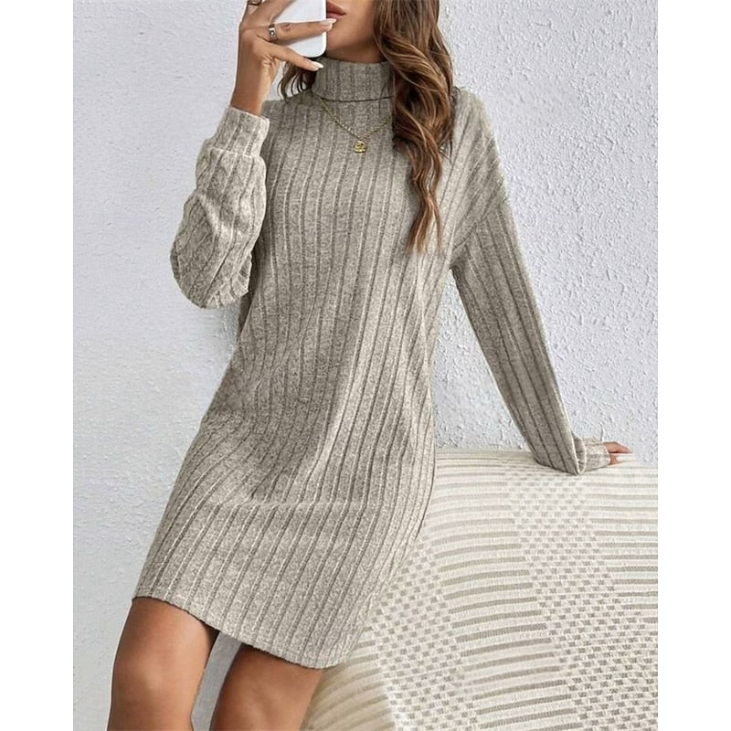 Kessoro women's ribbed roll-neck relaxed knit dress with a soft ribbed texture