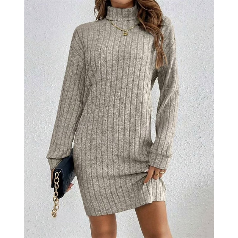 Kessoro women's ribbed roll-neck relaxed knit dress with a soft ribbed texture